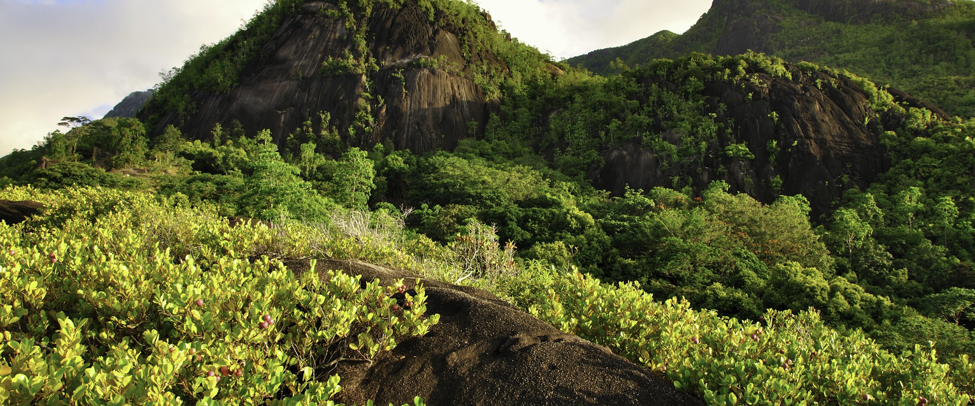 Unique Luxury Holidays to The Seychelles